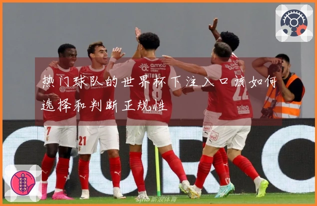 热门球队的世界杯下注入口该如何选择和判断正规性