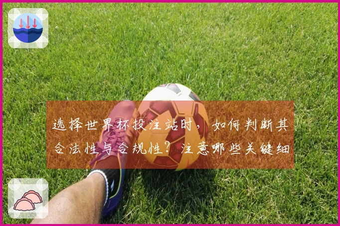 选择世界杯投注站时，如何判断其合法性与合规性？注意哪些关键细节？