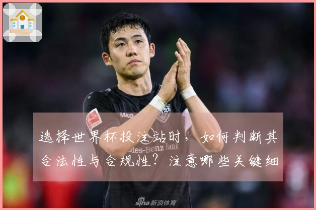 选择世界杯投注站时，如何判断其合法性与合规性？注意哪些关键细节？